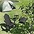 LUE BONA Folding Adirondack Chair Set of 2, Black HDPS Fire Pit Patio Chairs Weather Resistant, Modern Plastic Outdoor Chairs with Cup Holder