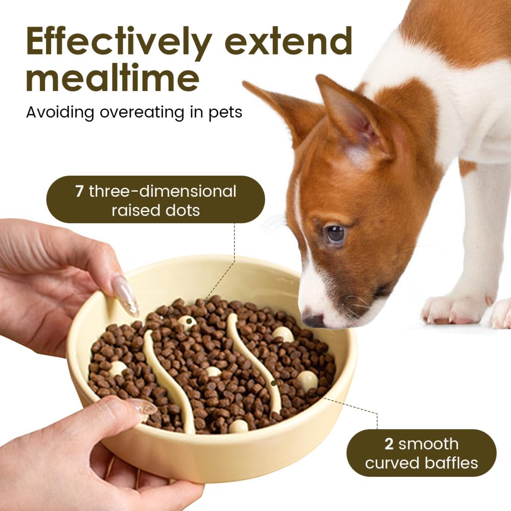 Ciotole Anti Ingozzamento per Cani, Ciotola Gatti in Ceramica con Alimentazione Lenta, Ciotole Cane Antiscivolo, per Animali di Piccola, Media, Taglia