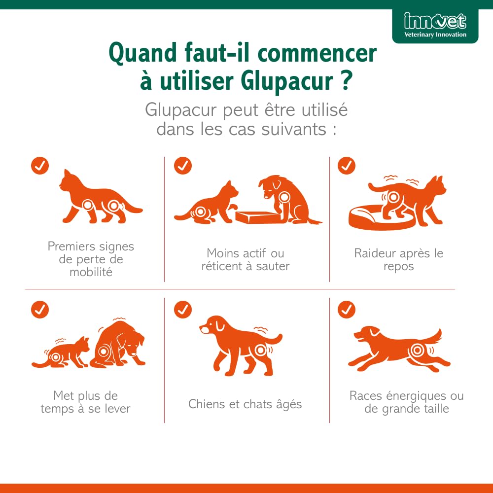 Innovet Glupacur, Complément Alimentaire pour Soulager les Articulations Chiens et Chats souffrant d'Arthrose, Soutien Avancé de la Mobilité, Palmitoylglucosamine, Curcumine et Vitamine E - 30 gélules