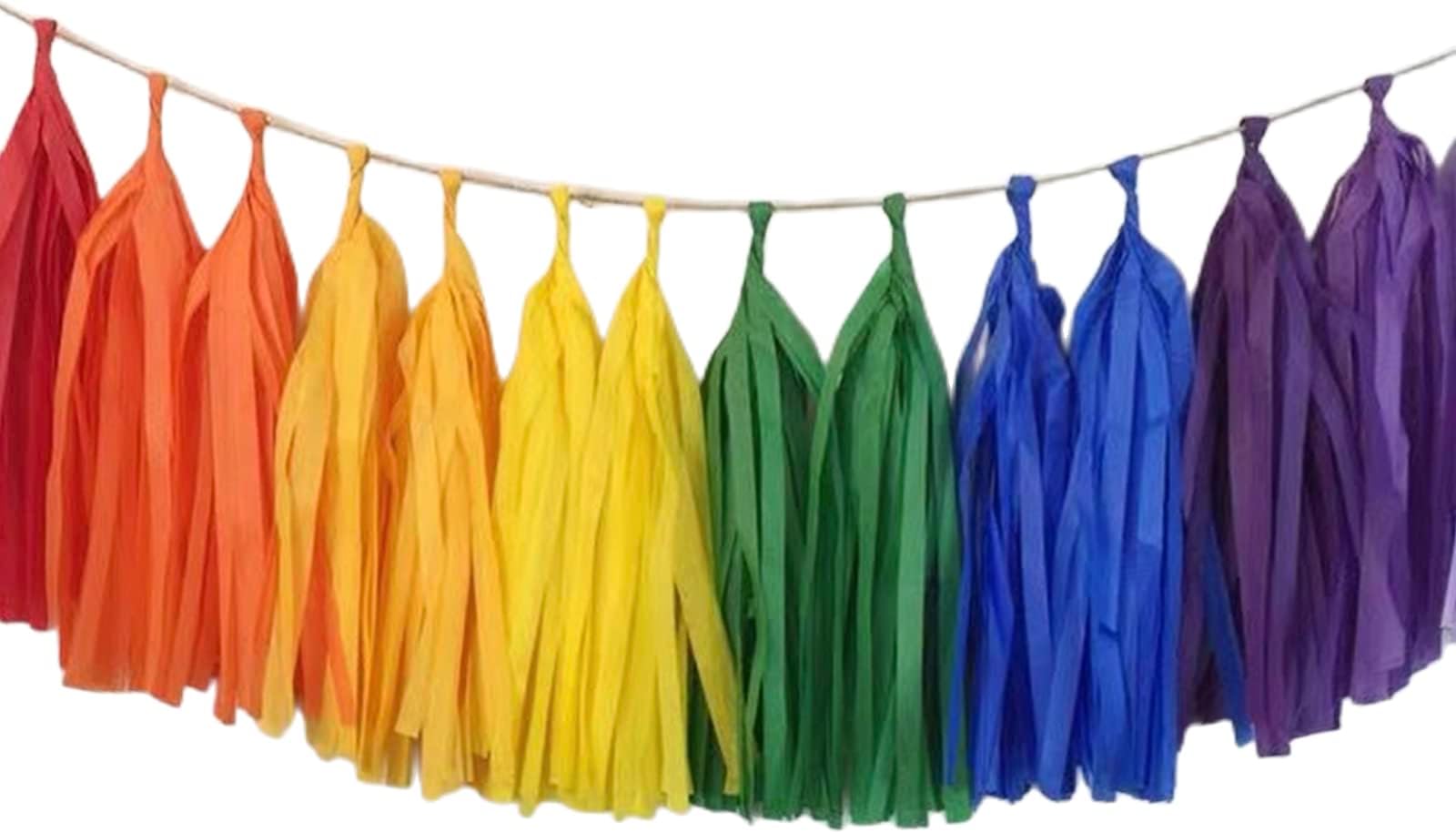 30pcs Rainbow Tassel Garlands, Rainbow Pride Party Tassel Garland for Kids Birthday, Coloured LGBTQ Banner for Gay Pride