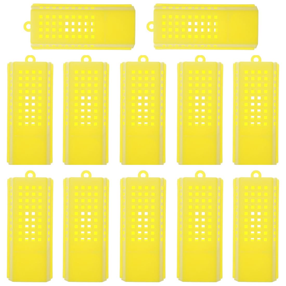 GXGM 12 Pièces Cages pour reines, Cages d'élevage de reine des abeilles, Cages en plastique pour reine des abeilles, Boîte d'élevage d'apiculture