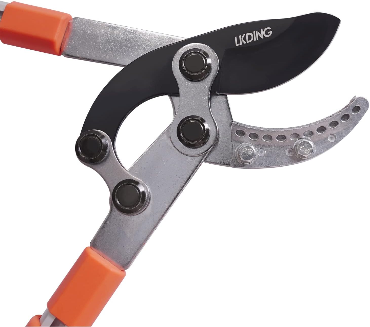 Best Telescopic Tree Loppers Reviews By Wirecutter