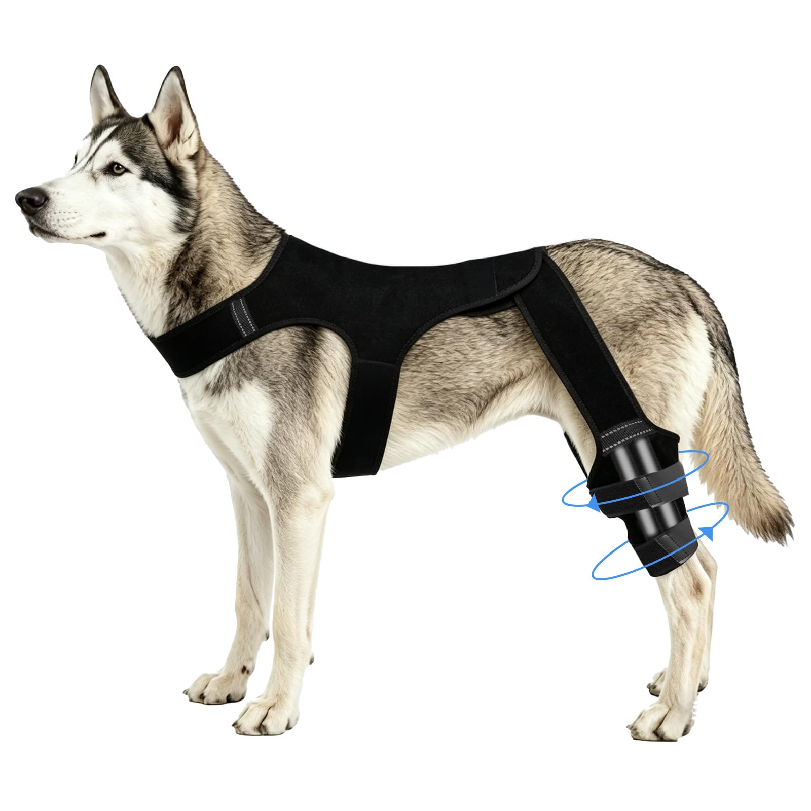 Penitue Dog Knee Brace Hind Leg, Adjustable Dog Hind Leg Braces Protector System with 4 Stabilizers & Hip Support (XL)