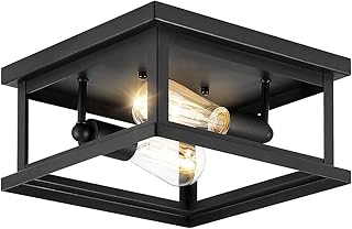 Drosbey 2-Light Flush Mount Ceiling Light Fixture, Farmhouse Light Fixtures, Industrial Vintage Ceiling Light for Kitchen,...