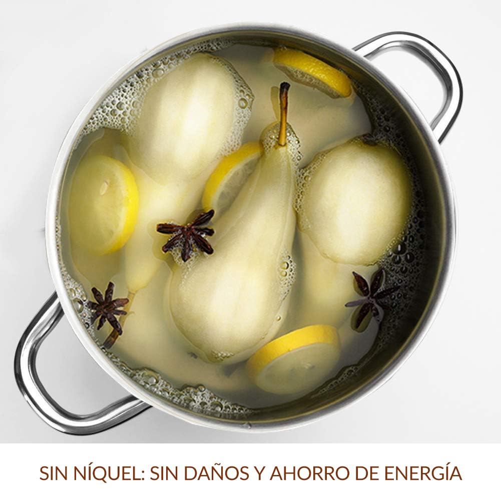 HOMICHEF Olla de 20,5 cm 3,8 litros de acero inoxidable sin níquel - Olla de 3,8 L con tapa y asa - Cacerola Pequeña 3.8 Litros con Tapa para Cocinar