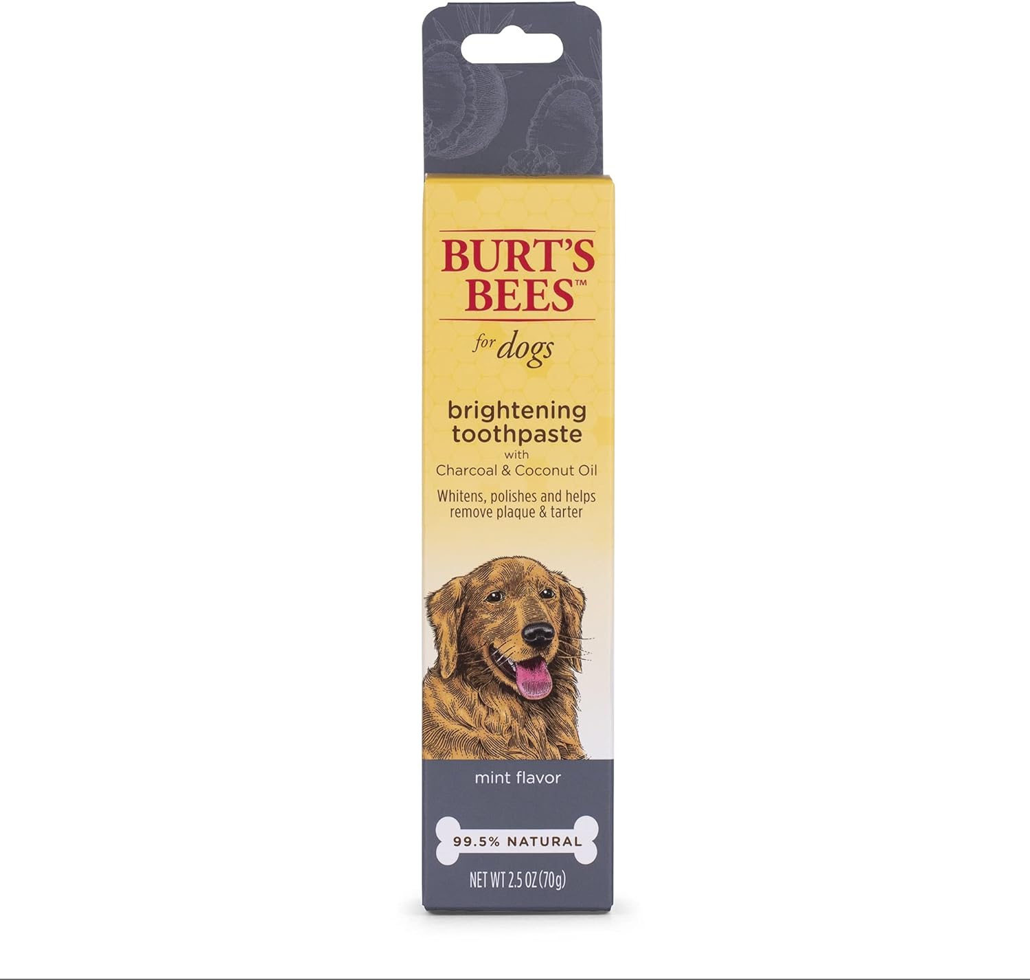 Burt's Bees for Dogs Charcoal & Coconut Oil Brightening Toothpaste for Dogs with Charcoal & Coconut Oil | 99.5% Natural Dog Toothpaste in Mint Flavor | Dog Oral Care Dog Toothpaste, 2.5 Oz : Everything Else
