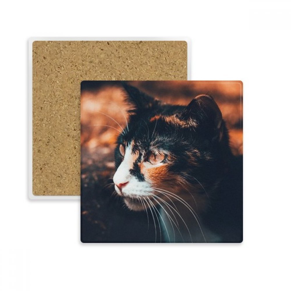 Coaster chat marron en pierre absorbante : idée cadeau vintage