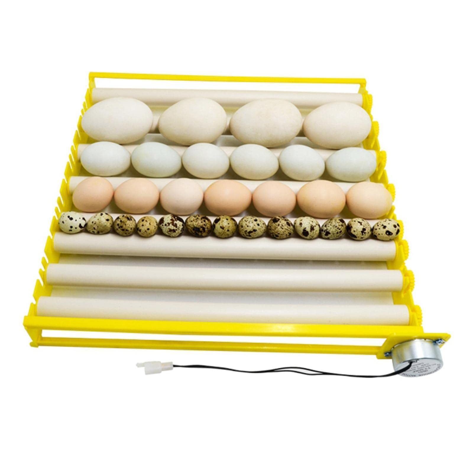 Fenteer Ei Inkubator Tablett Automatische Ei Turner für Huhn Ente Taube, 220V, 9 rohre