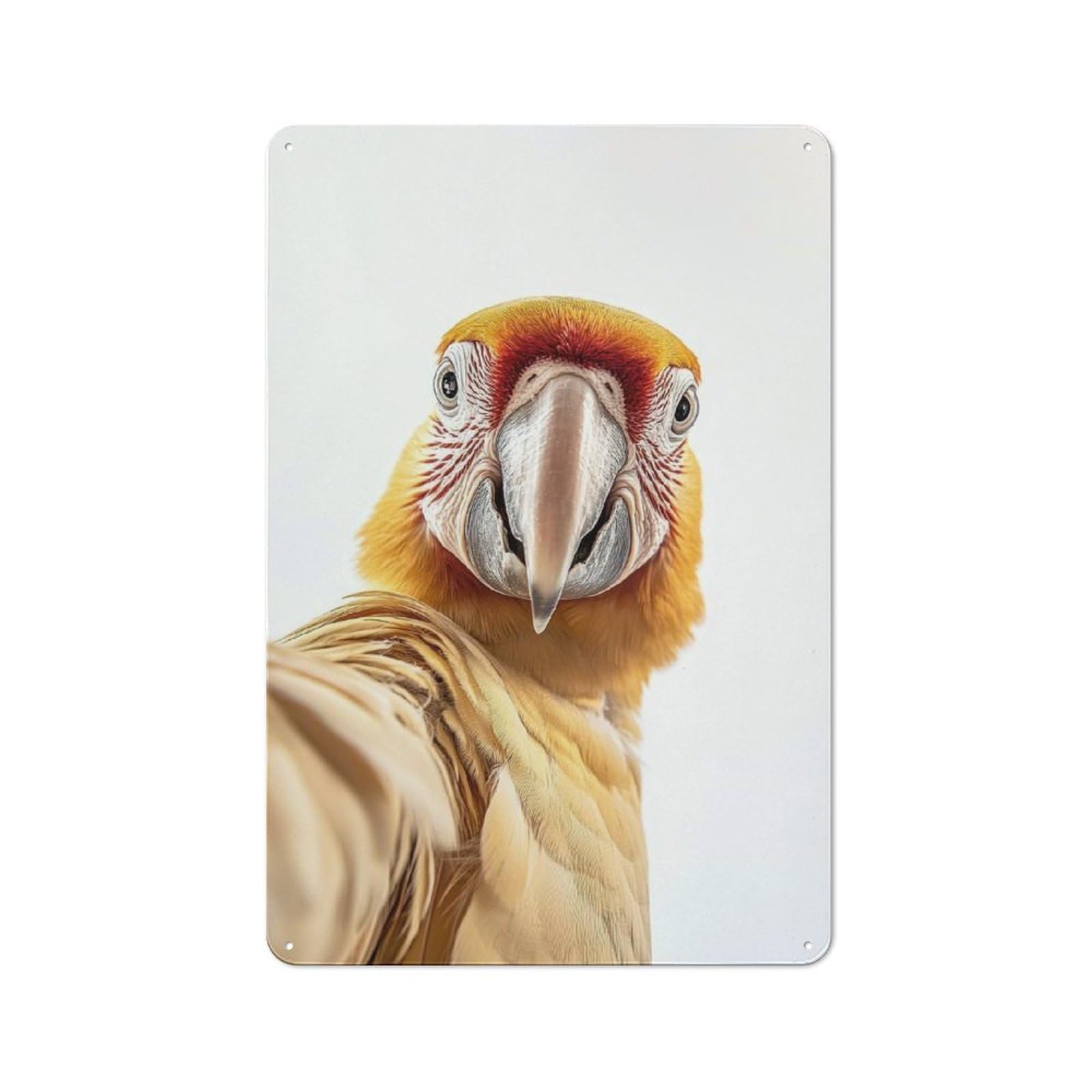 Junmoney Parrot Golden Macaw Selfie Printed Metal Sign 30X20cm For Living Room Or Hallway, Suited To Hallway Decor Fans