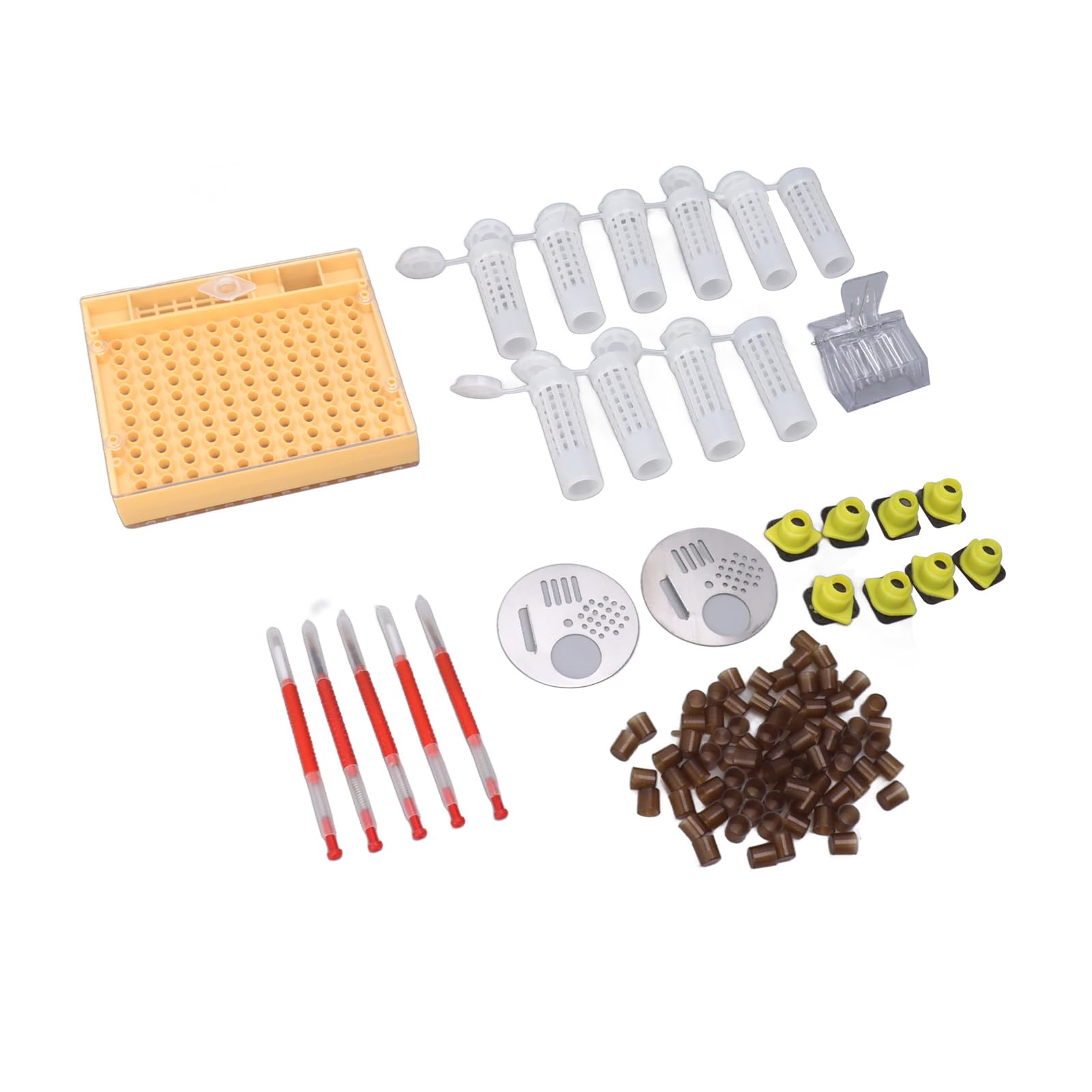 Syst¨¨me D'¨¦Leva de Reine en Plastique, Kit D'apiculture, Fournitures de Greffa de Reine pour Apiculteurs