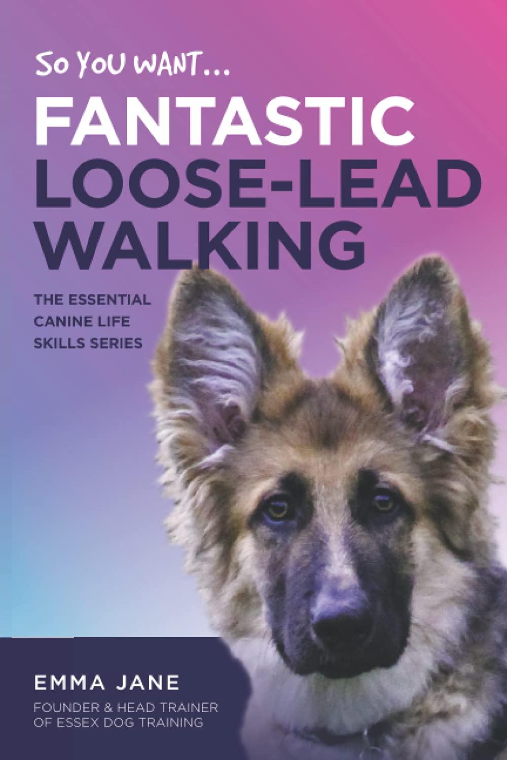 So, You Want Fantasic Loose Lead Walking? (Essential Canine Life Skills)