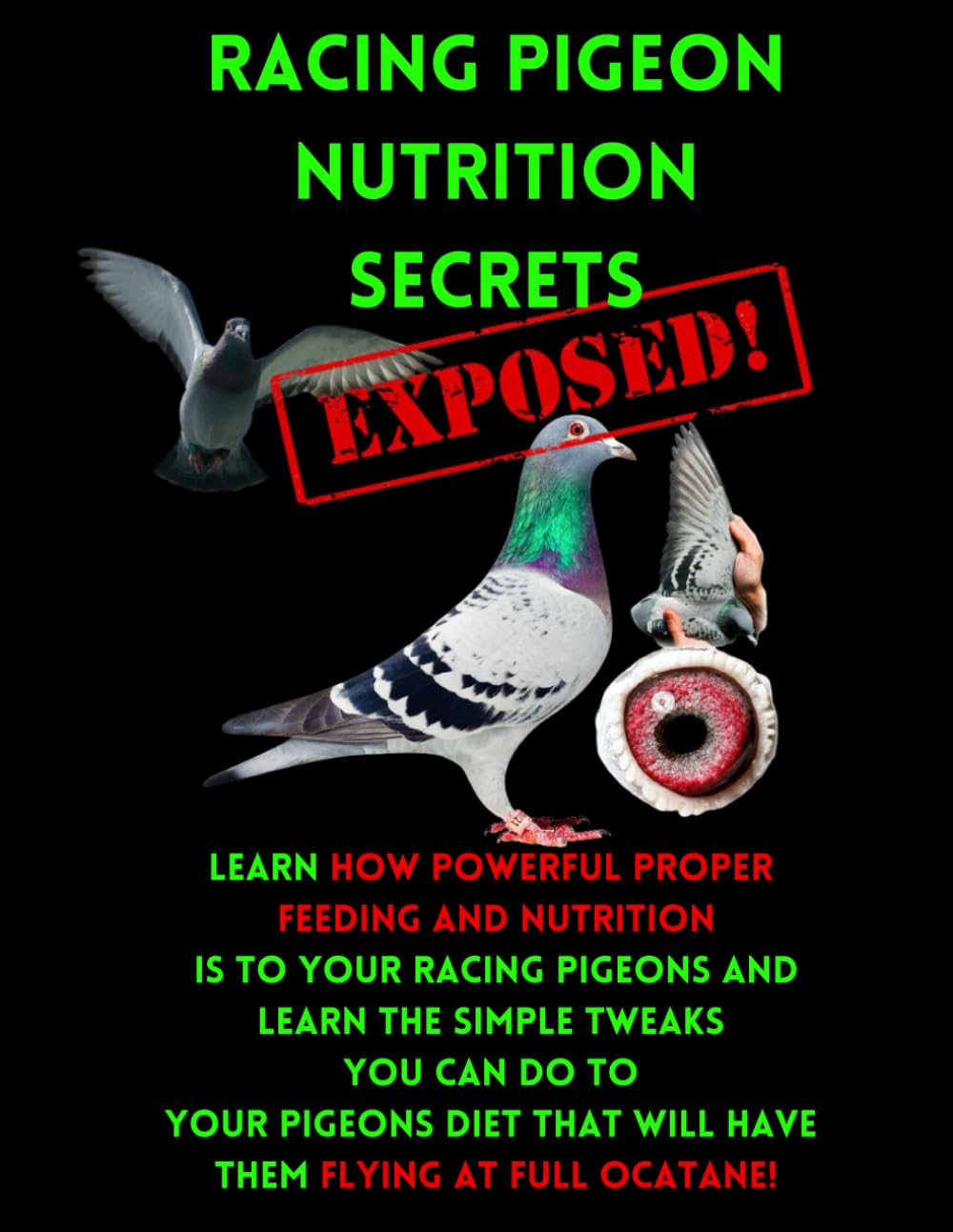 Racing Pigeon Nutrition Secrets Exposed: Racing Pigeon Feeding