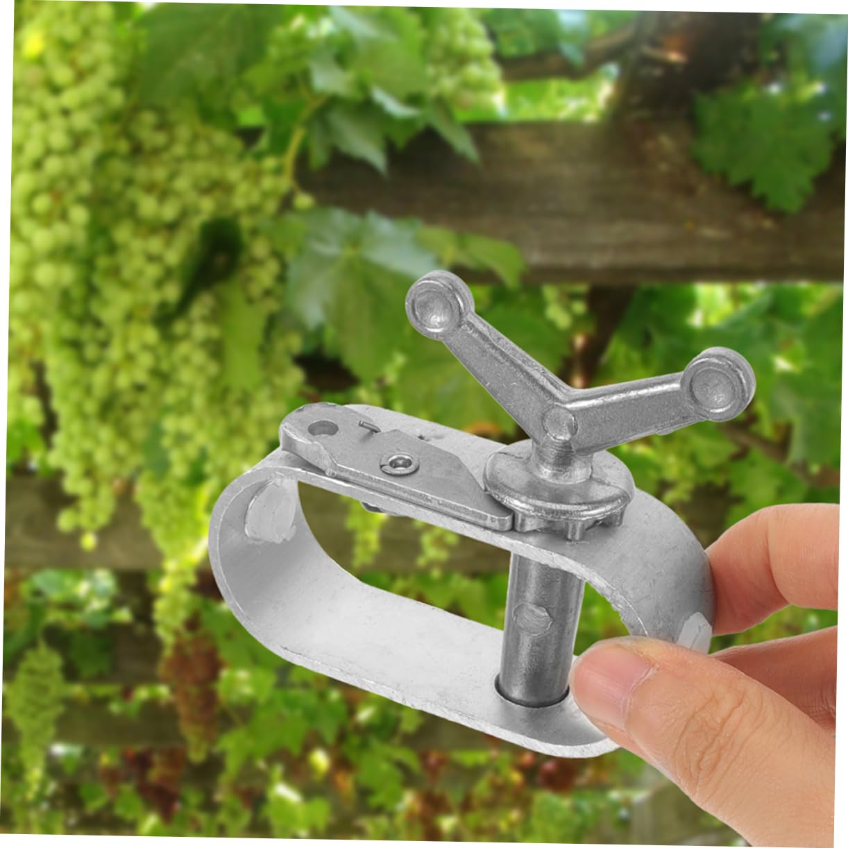 Tenditore per Cavo in Acciaio A3 8 Pezzi per Vigneto | Argento, per Coperture per Coltivazioni e Alberi da Frutto, Tensione Stabile, Compatto e Robusto