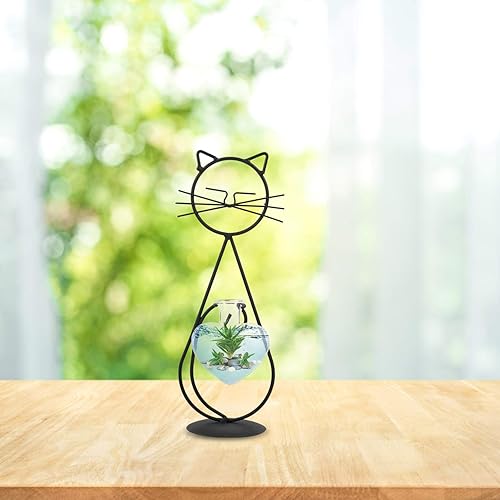 Miniatura 6 de cat Wrought Iron vase Glass Globe Terrarium hydroponic Plant Holder Plant Terrarium with Metal Stand cat Glass Planter Holder suculentas Flower