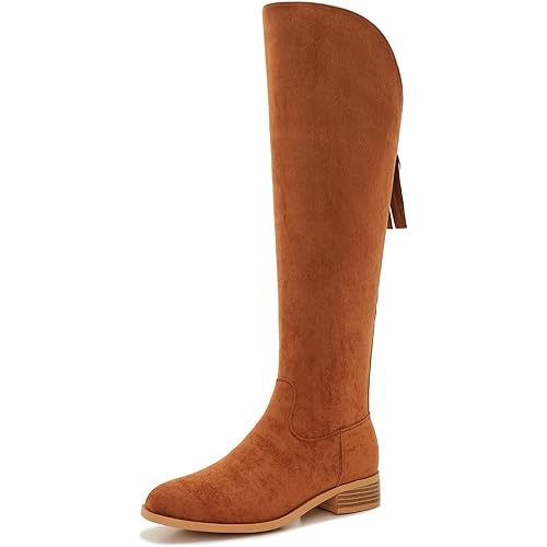 ZXHYZLZ Women's Knee-High Suede Boots with Side Zipper – Low Heel Fall/Winter Riding Boots with Tassel Detail – Soft & Comfortable Standard Calf Fit