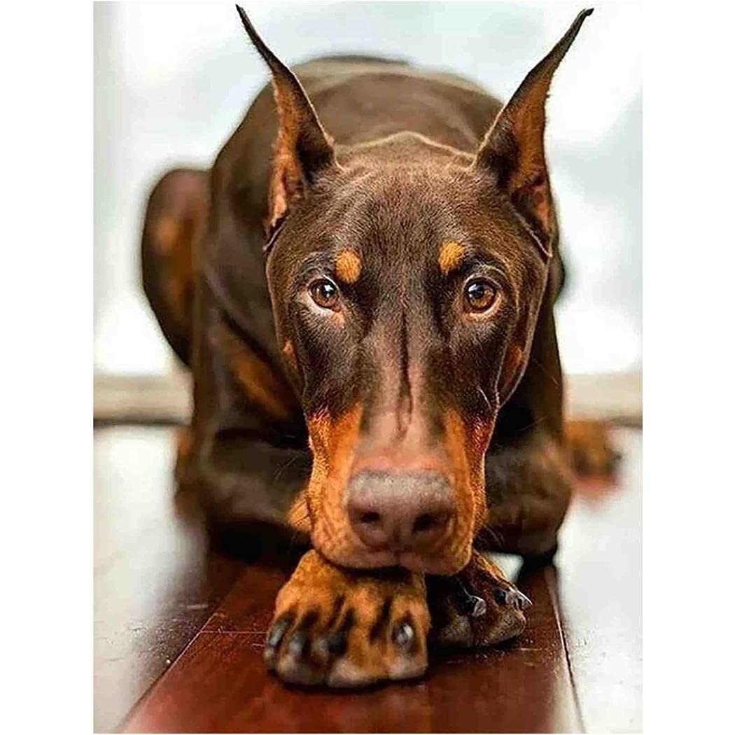 1000 Pieces Jigsaw Puzzles Toys Funny Doberman Dog Intellectual Educational Decompressing Puzzle Toy Games for Kids/Adults Animal Lover Gift