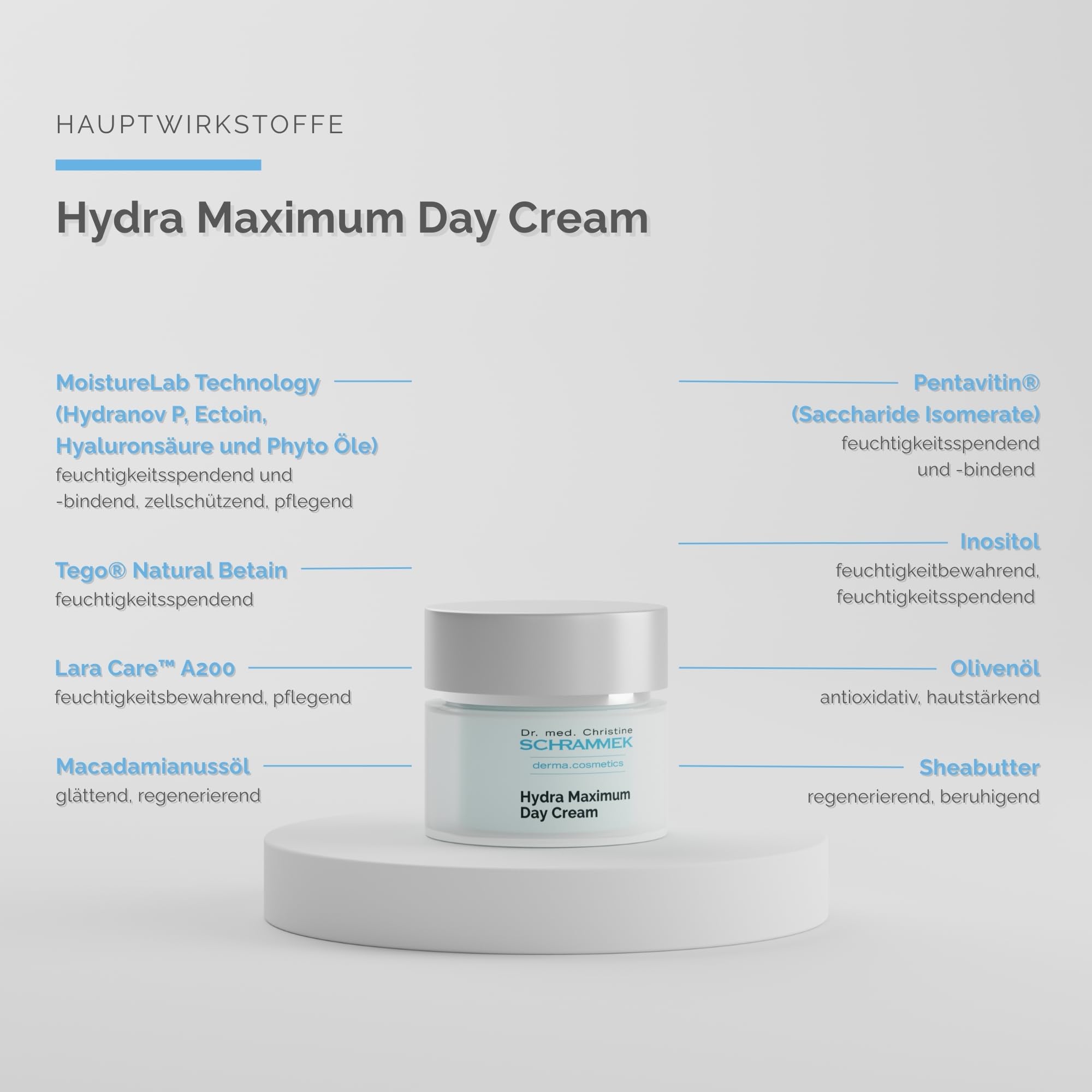SCHRAMMEK Hydra Maximum Day Cream, 1 x 50 ml