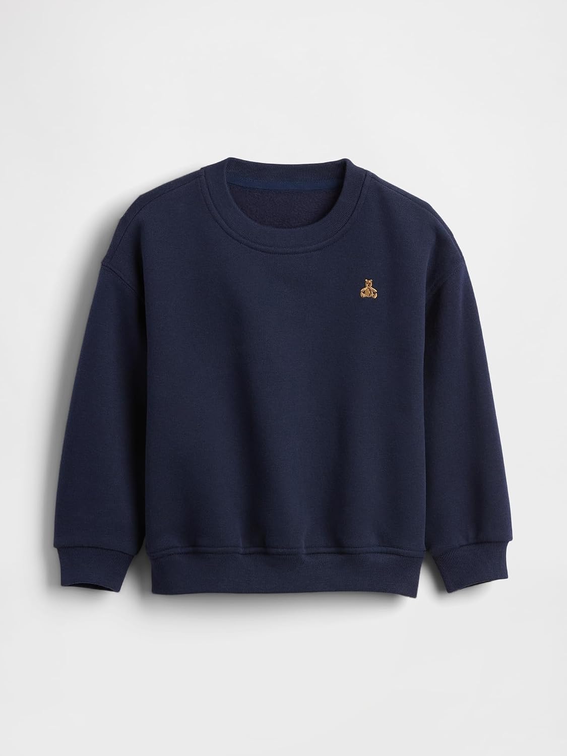 GAP Baby Boys' Icon Pullover Hoodie