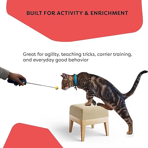 Miniatura 6 de Clicker de entrenamiento para gatos con clicker de dedo desmontable y palo de objetivo, herramienta de entrenamiento de refuerzo positivo para