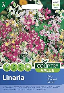 Fothergills Country Value Linaria Fairy Bouquet Mixed Flower Seeds (1 Packet)