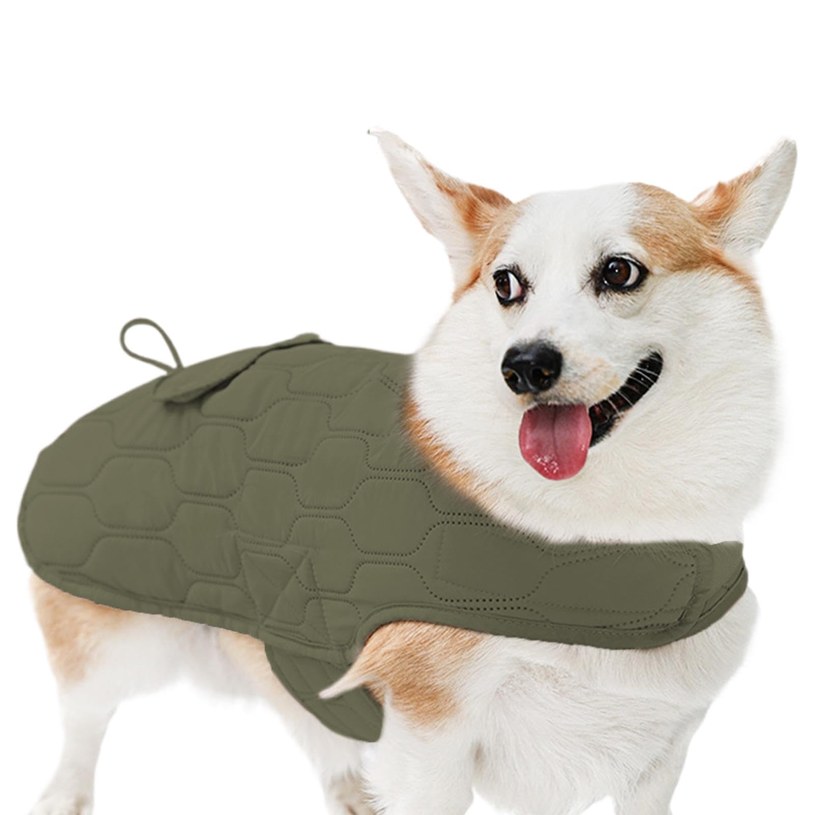 Veste d'hiver pour chiens gilet chaud réglable coupe-vent toutes tailles