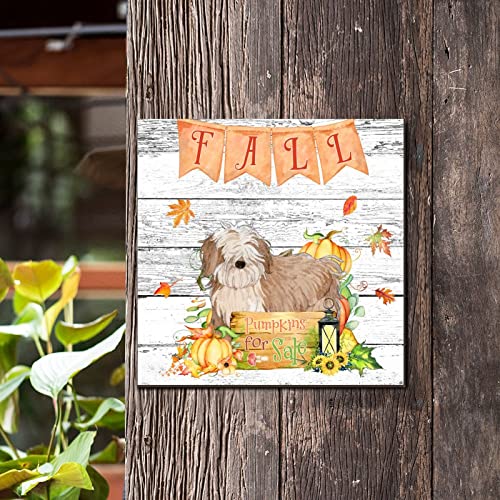 Plaque Fall Pumpkins panneau bois pour habiller un mur vide - 4