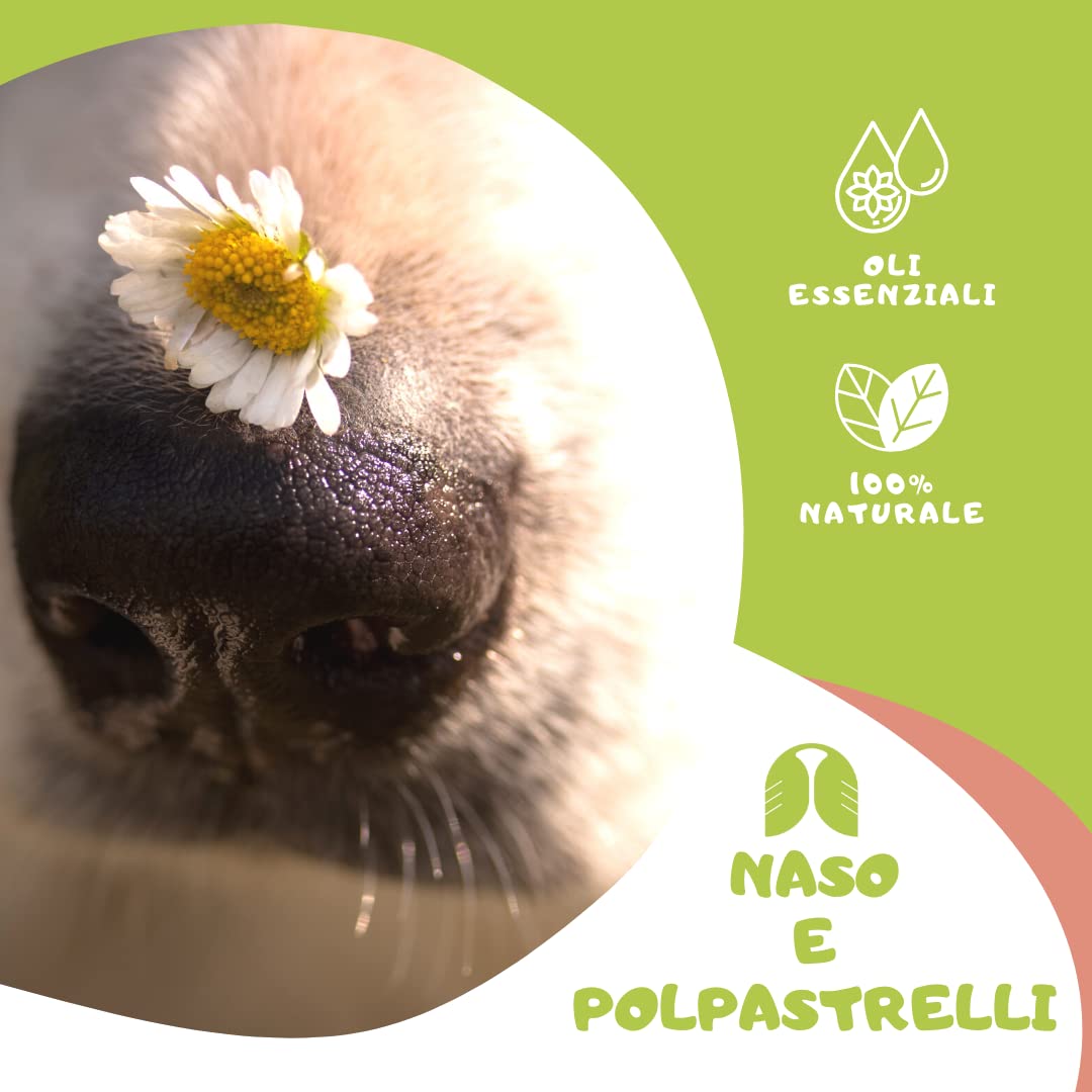 My Natural Dog BURROSO - Balsamo Naturale per Naso e polpastrelli del Cane - Formula Human Grade, Made in Italy con Olio Essenziale di Lavanda, Vitamina E, Burro di Karité, Olio di Cocco e Cera d'Api