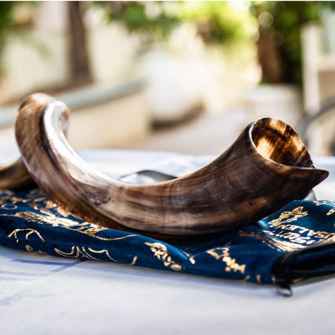 Fully Polished Kudu Horn Shofar - Yemenite Kudu Shofar - Kosher Kudu Shofar Made in Israel (14"-16") : Musical Instruments