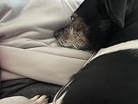 Review Image by Jeannie G. Jeannie G.