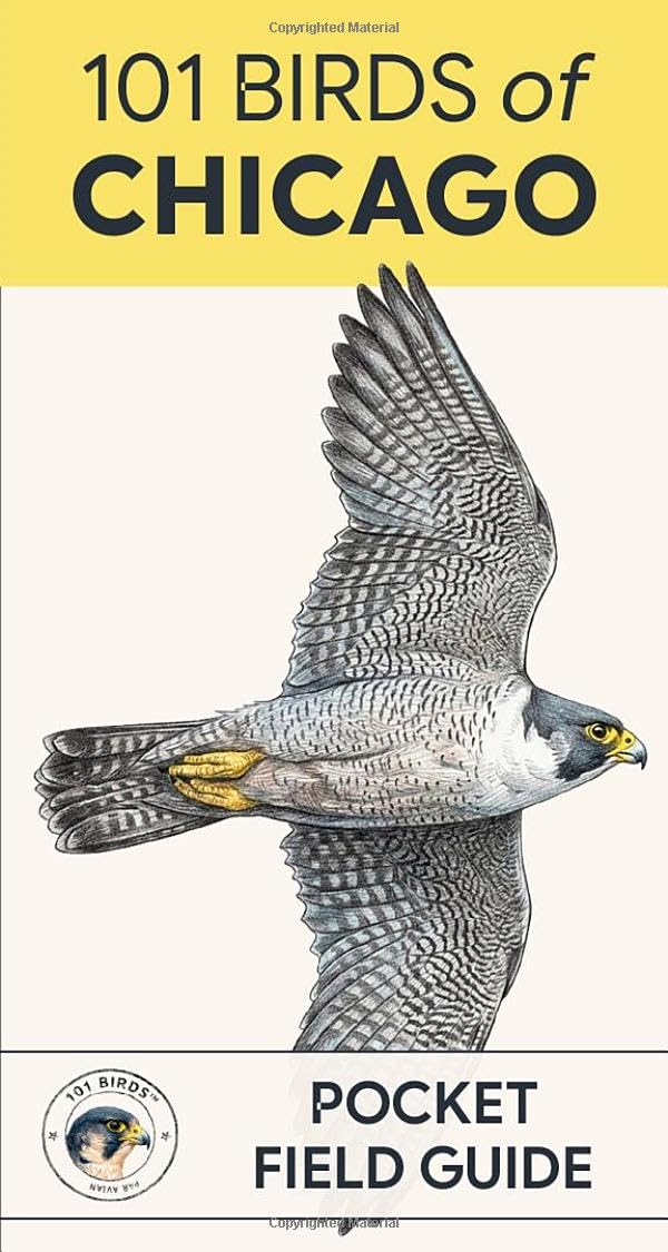 101 Birds of Chicago: Pocket Field Guide (101 Birds Pocket Field Guides)