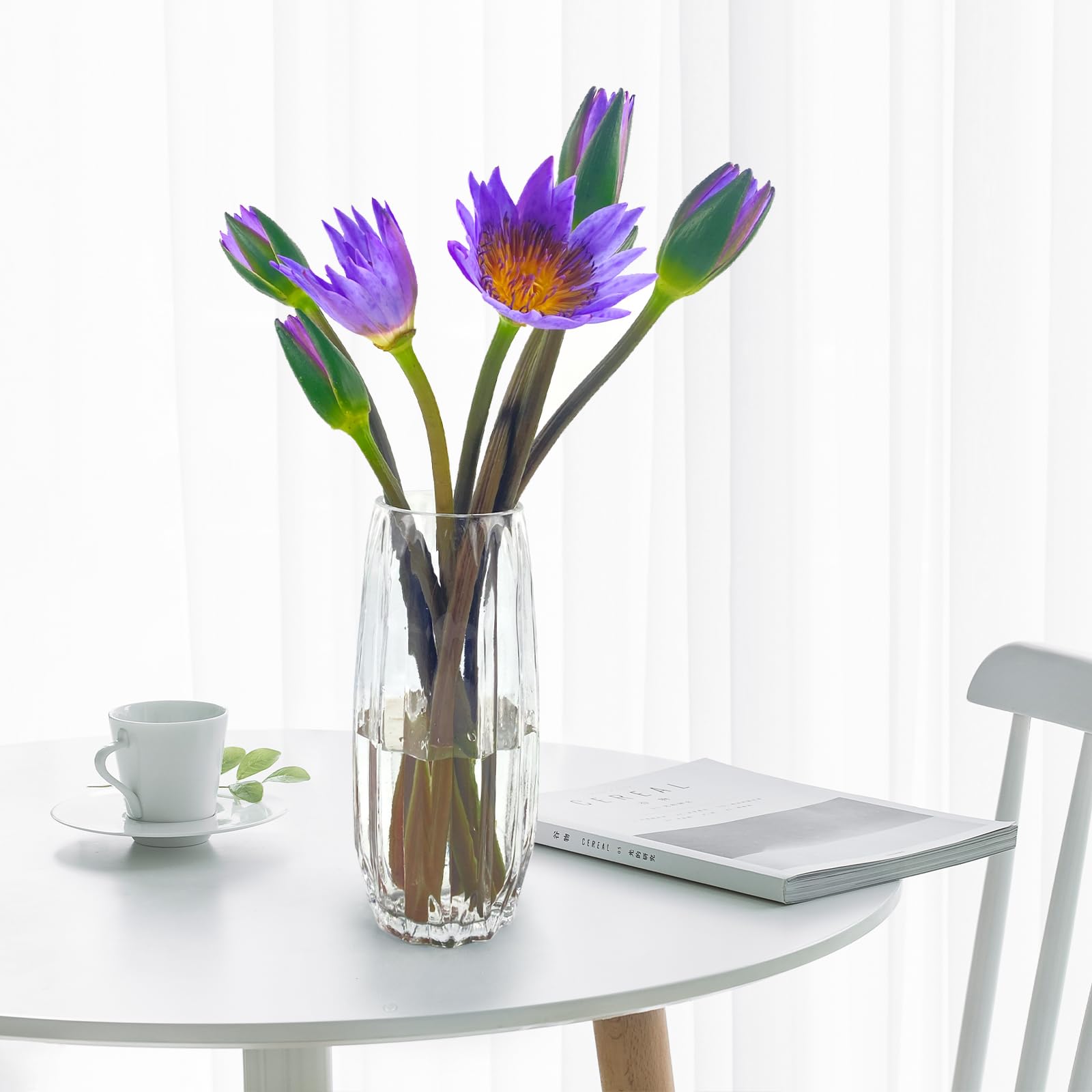 TREND FOR HOME Vaso Grande da Interno A: 22.7 cm Vetro Trasparente Rotondo per Pampas per Rose Tulipani Decorazioni Matrimonio Fiori, 19 cm, 5090 ml, Zinnia