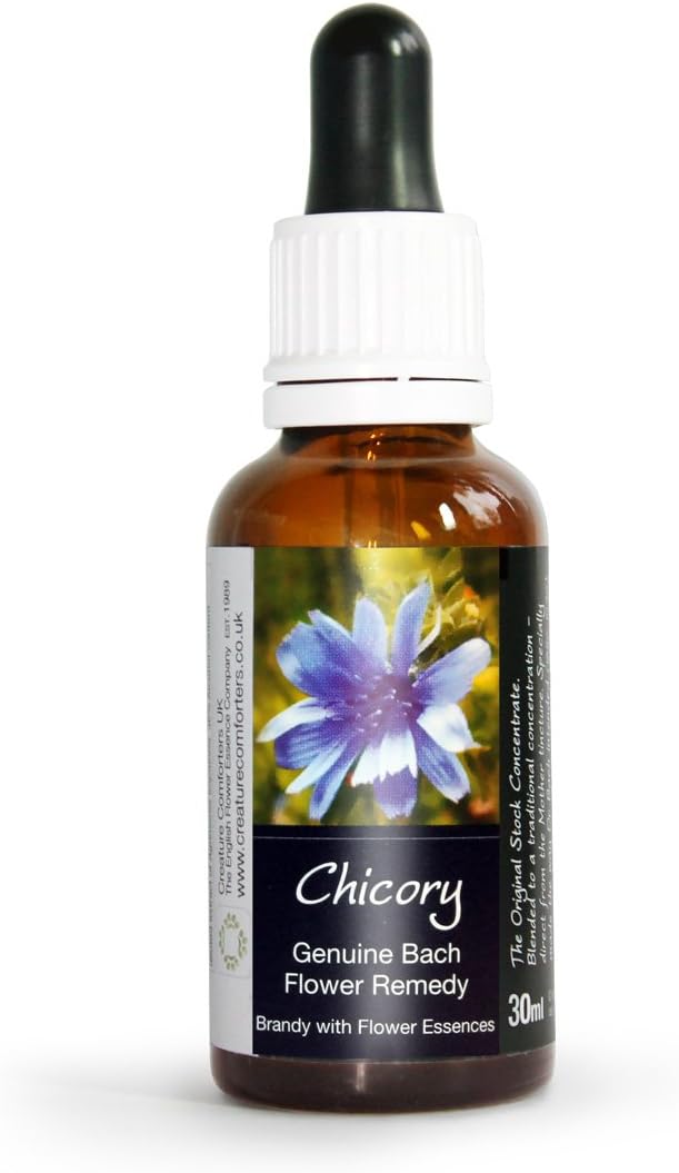 Chicory Bach Flower Remedy Large 30ml. Genuine Traditionally Made Essence