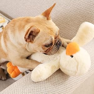 HOOPET Plush Duck Dog Toy Stuffed Animal Toys Large Squeaky Dog Toys Soft Pillow Snuggle Cuddle Puppy Toy for Big Medium Small Breed Dog