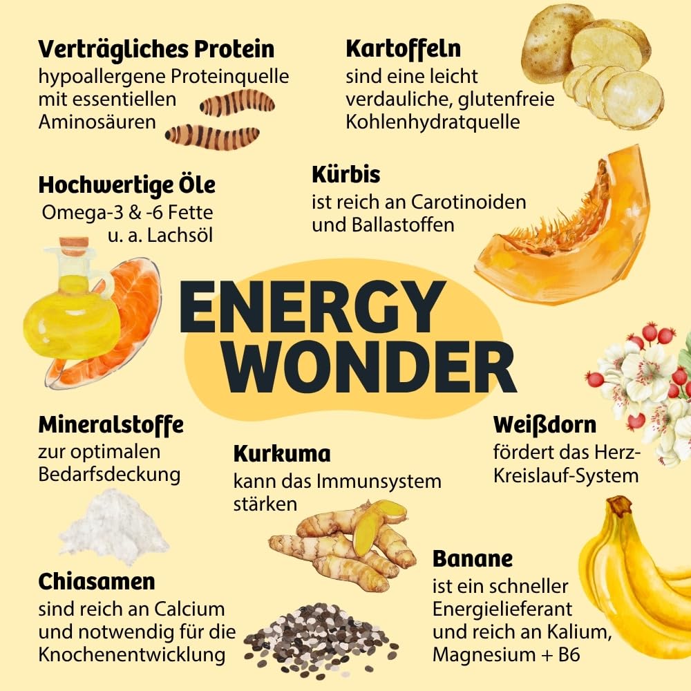 BugBell 7 kg High Energy sucha karma dla psów, białko owadów bez zbóż, bananów, dyni i chia, oleju z łososia i L-karnityny, wspierają aktywne życie psa, 100% przezroczysta deklaracja | High Energy sucha karma dla psów zapewnia wytrzymałość i energię – z L