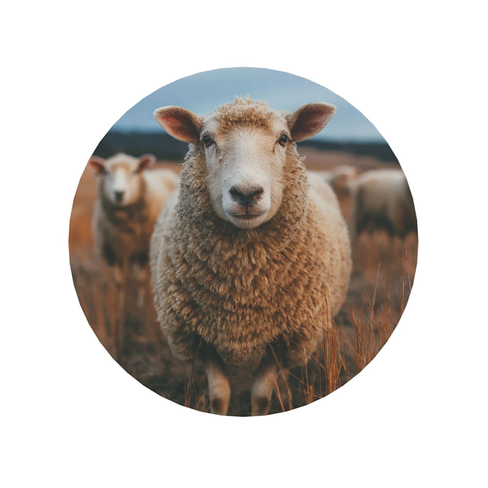 Fridge Magnets Waterproof Personalized Magnets for Fridge Sheep Standing Refrigerator Magnets Home Decoration Magnetic Sticker for Locker Accessories Whiteboard Kitchen Office Decor