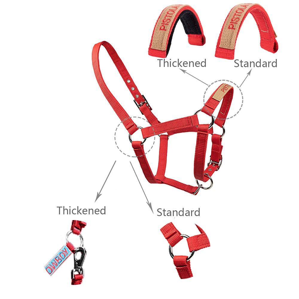 Custom Horse Halter with Name Nylon Halters for Horses Personalized Embroidered Horse Halters