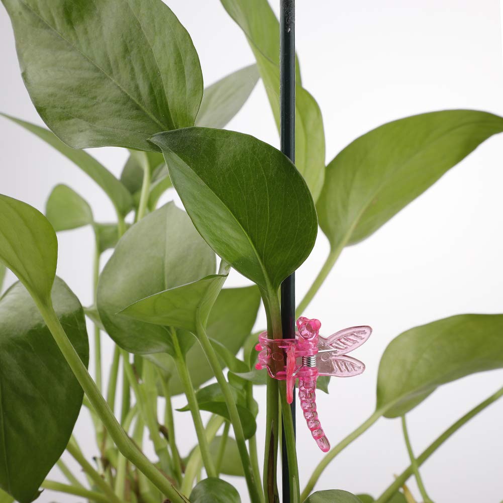 30 clip a forma di libellula, piccole clip per orchidee, robusti e