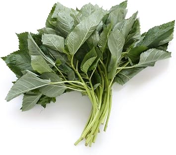 Egyptian Spinach,1000 Jute Seeds,Saluyot, Molokhia, Plant Spring Or Summer