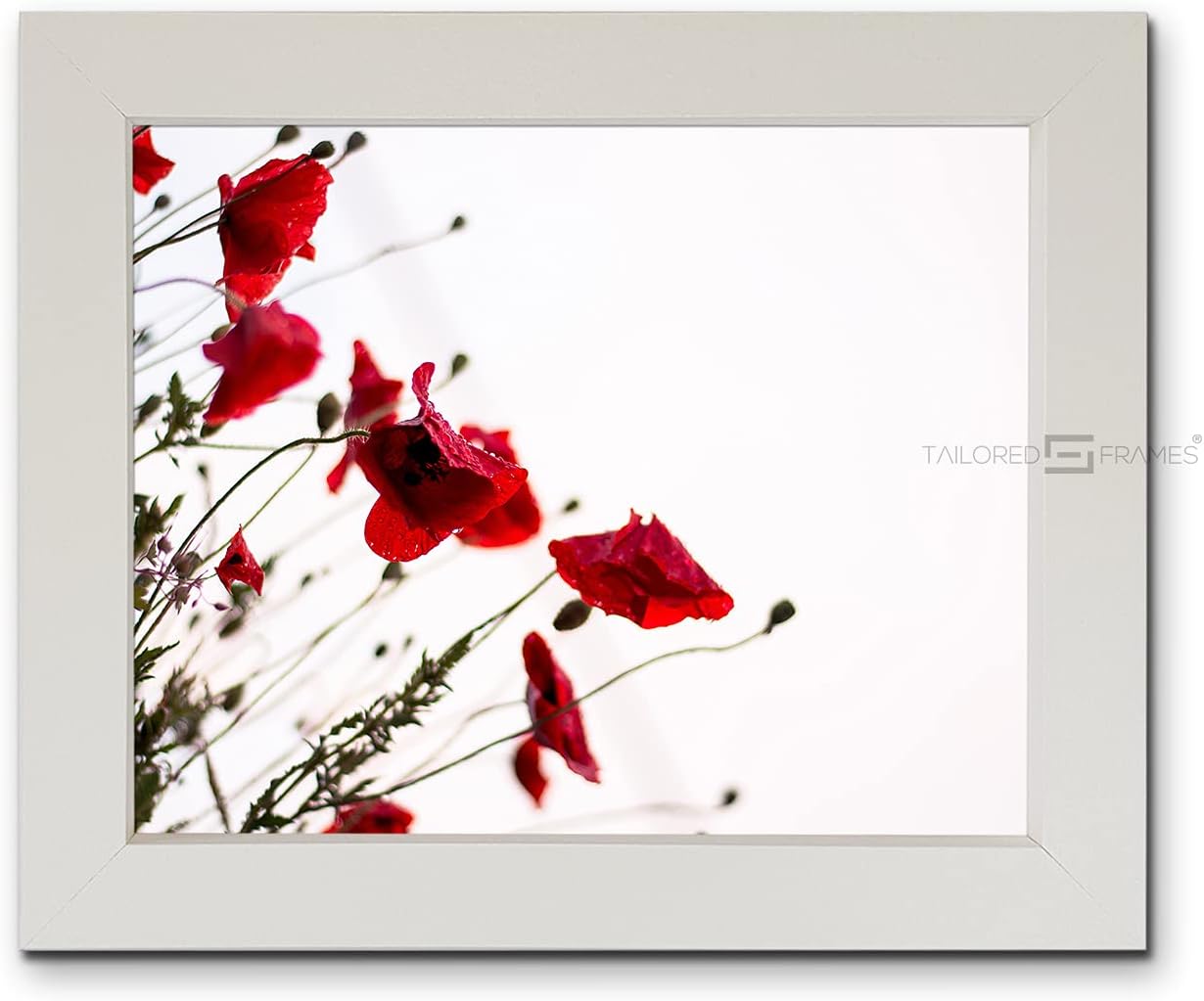 Tailored Frames Square Design Picture and Photo Frames, White, 24″ x 16