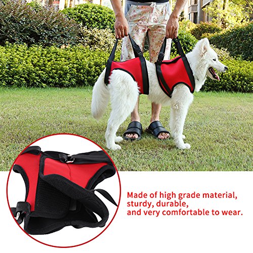 GLOGLOW 2 Arten Front & Rear Dog Support Harness, Wiederverwendbare Gehhilfe Unterstützung Hebe Pulling Vest für Alte & Verletzte Hunde(Hinterbein M)