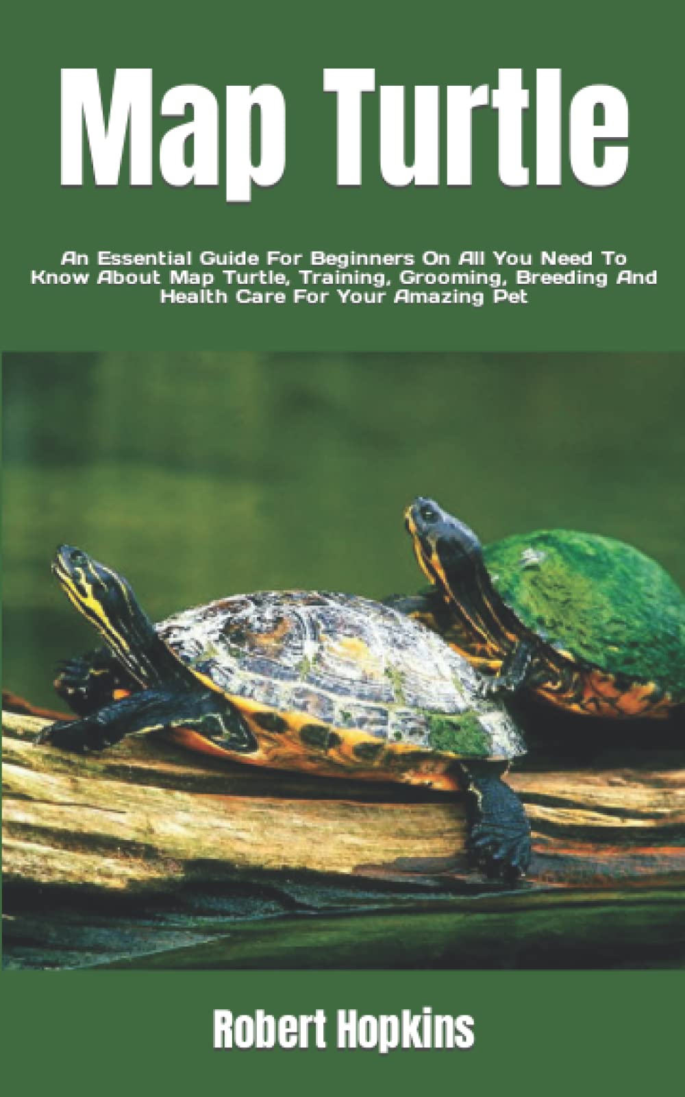 Buy Turtle An Essential Guide For Beginners On All You Need To Know