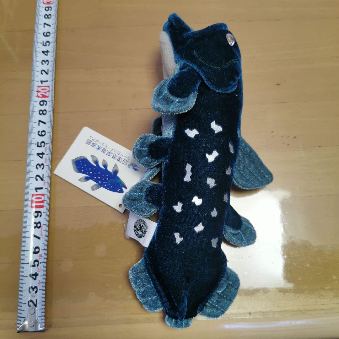Amazon.co.jp: 深海水族館 シーラカンス キャラクター ぬいぐるみ タグ
