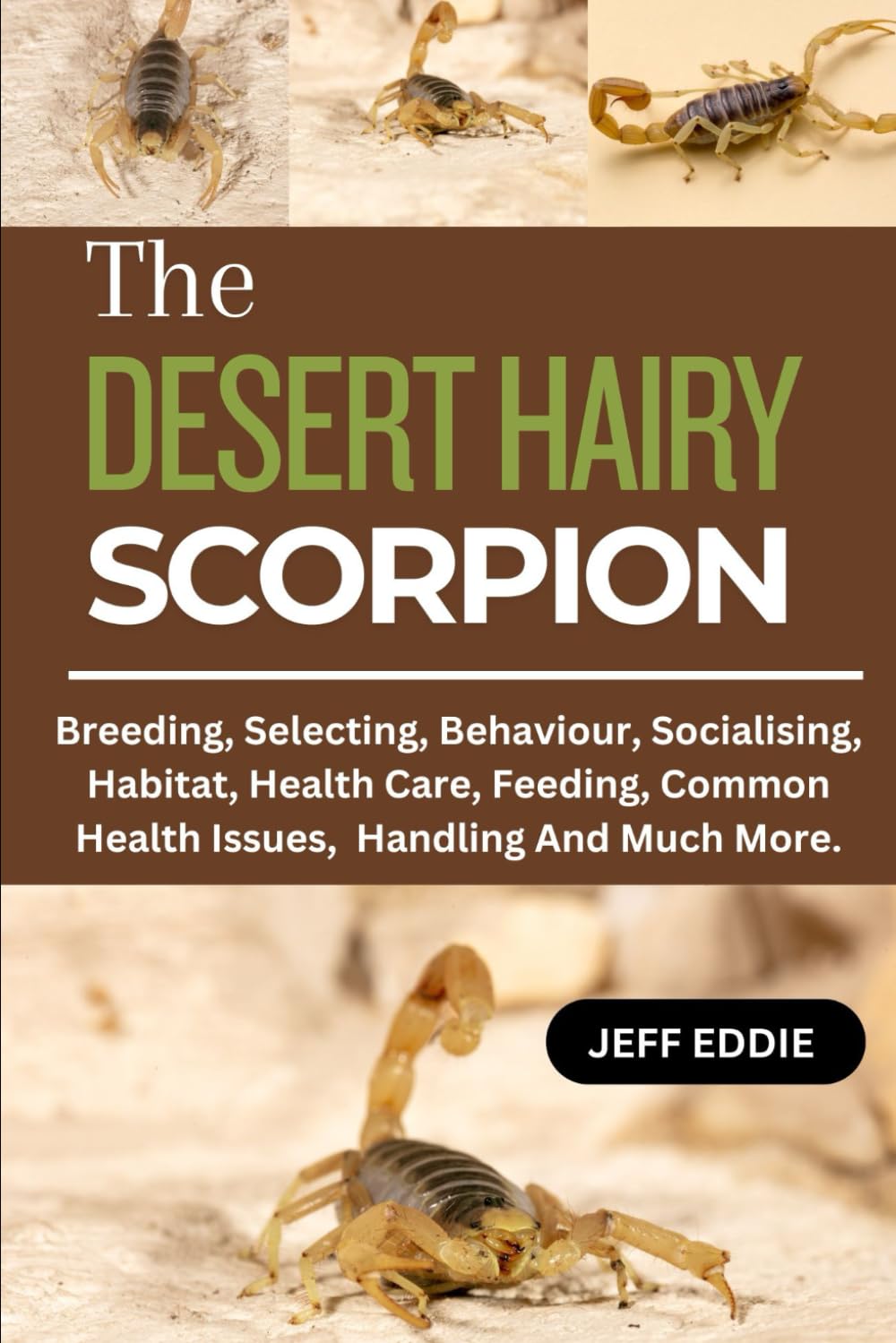 THE DESERT HAIRY SCORPION: Breeding, Selecting, Behaviour, Socialising, Habitat, Health Care, Feeding, Common Health Issues,Handling And Much More.