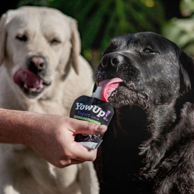 Foto 4 de 6 de Yow Up - Snack para perros adultos Yow Up yogur articular pollo 3 x 115 g