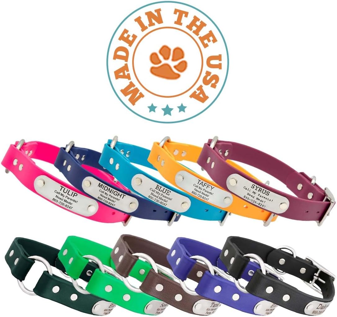 dogIDs Personalized Dog Collar – Custom Waterproof Soft-Grip Biothane Laser-Engraved Nameplate & Center Safety Ring, Odor-Resistant, USA Made | Orange, 1 in x 22 in (Fits Neck Sizes 20-24 in)