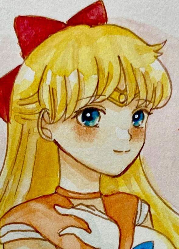 Amazon.co.jp: 同人手描きイラスト セーラームーン セーラーヴィーナス