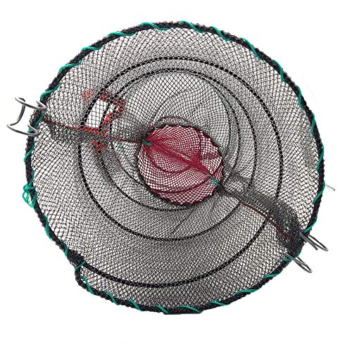 CLAIRLA Portable Collapsible Fishing Trap Net Fish Shrimp Minnow Crayfish Crab Baits Cast Mesh Nets Traps Automatic, Easy Use Folded Mesh Cage Crab Fish Minnow Crawdad Shrimp (Large)