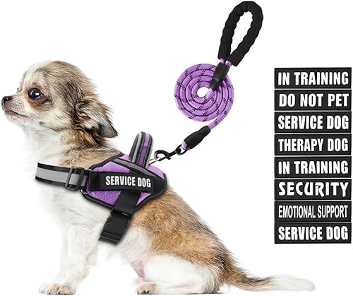 Juego de arnés de chaleco y correa para perro, arnés de entrenamiento para perro con 10 parches para perros, correa reflectante para perro con mango