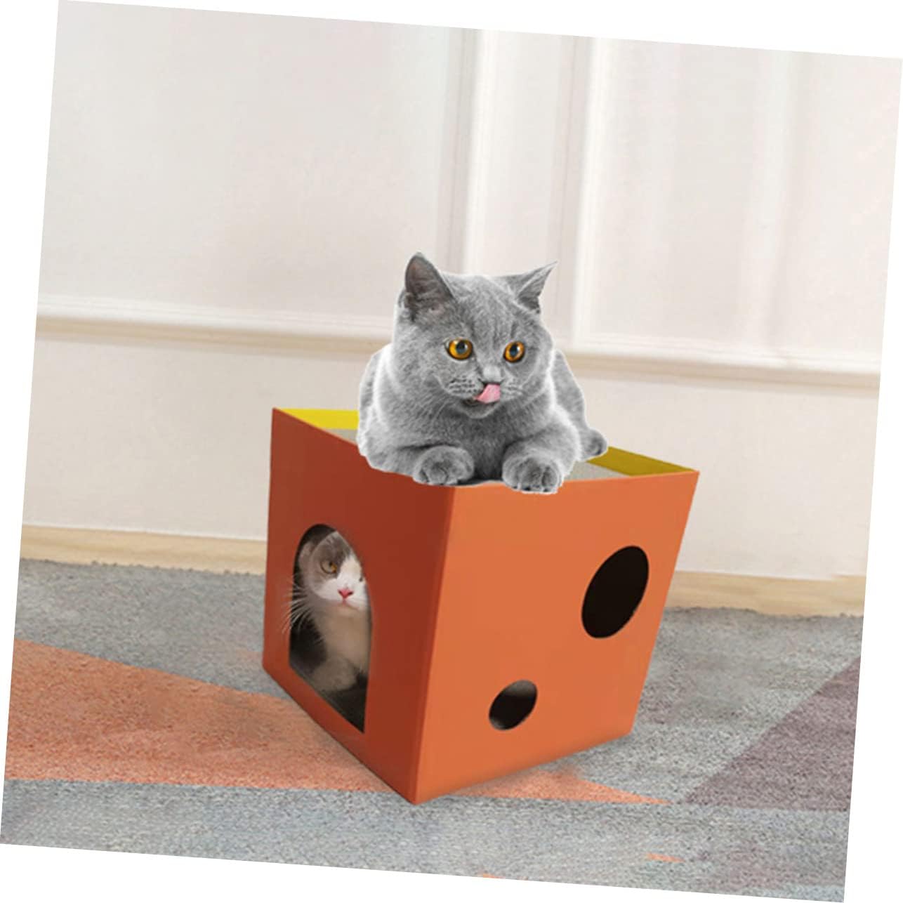 Cat Scratch-Resistant Pet Cube Scratcher Board for Indoor Cats Scratch Pad and Play Area