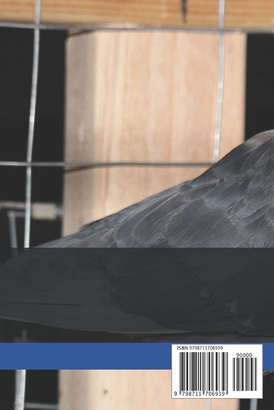 The Birmingham Roller: a High-Performance Pigeon      Paperback – February 19, 2021